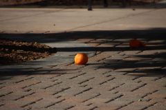IMG_0374-scaled