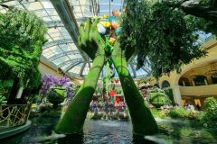 20230621_160638-scaled