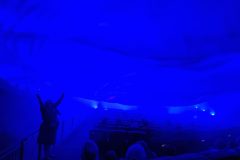 20230621_194749-scaled