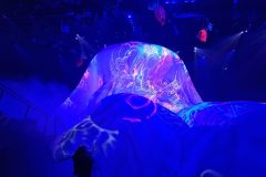 20230621_194753-scaled