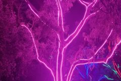 20230721_183259-scaled