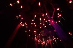 20230721_190335-scaled
