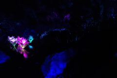 20230721_191200-scaled