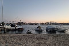 20230623_201918-scaled