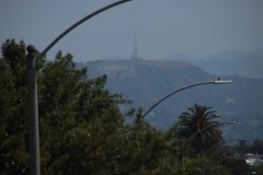 IMG_0466-scaled