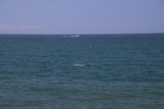 IMG_0527-scaled