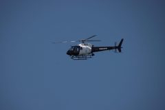 IMG_0581-scaled