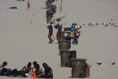 IMG_0593-scaled