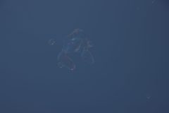 IMG_0611-scaled