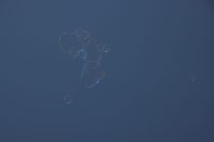 IMG_0613-scaled