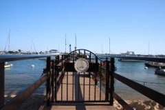 IMG_0668-scaled