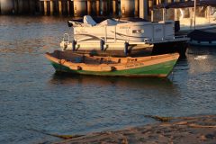 IMG_0871-scaled