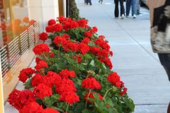 IMG_0921-scaled