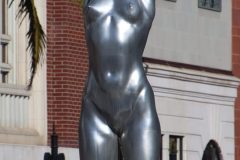 IMG_0953-scaled
