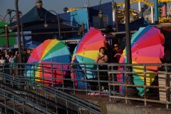 IMG_1042-scaled