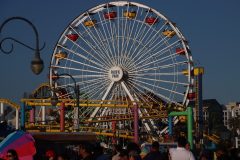 IMG_1066-scaled