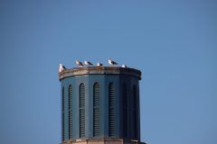 IMG_1069-2-scaled