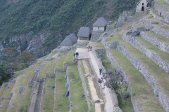 20090701-205658IMG_1727PERU2009