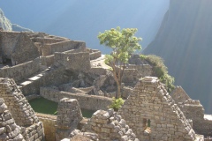 20090701-214522IMG_1811PERU2009