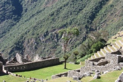 20090701-235514IMG_1837PERU2009