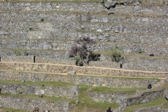 20090702-004516IMG_1846PERU2009