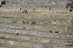 20090702-004612IMG_1847PERU2009