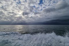 20211211_063852-scaled
