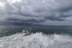 20211211_064231-scaled