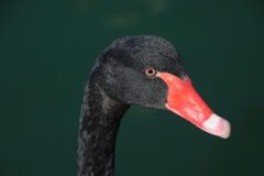 IMG_8610-scaled