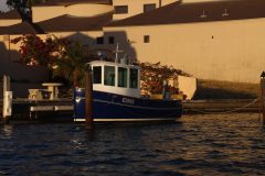 IMG_8672-scaled