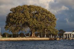 IMG_8697-scaled
