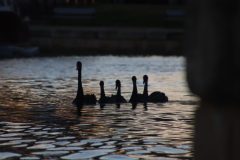 IMG_8712-scaled