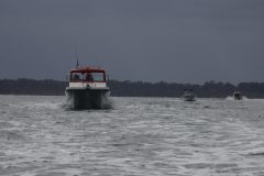IMG_8964-scaled