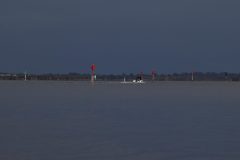 IMG_9134-scaled