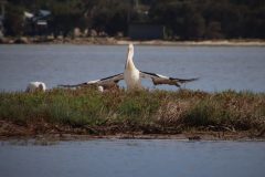 IMG_9138-scaled