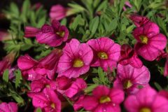 IMG_9255-scaled