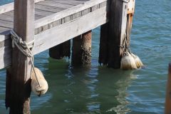 IMG_9276-scaled