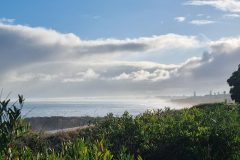 20230730_082419-scaled