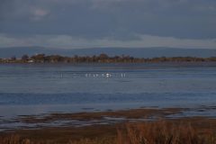 IMG_1327-scaled