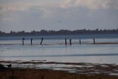 IMG_1343-scaled