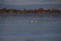 IMG_1359-scaled