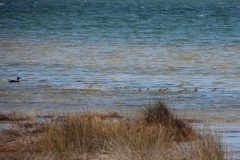 IMG_1368-scaled