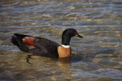 IMG_1401-scaled