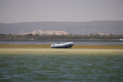 IMG_8263