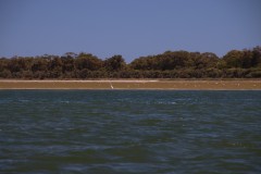 IMG_8304