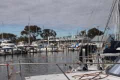 IMG_2037-1024x682