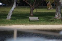 IMG_2084-1024x682