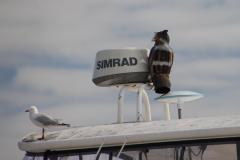 IMG_2091-1024x682