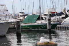 IMG_2095-1024x682