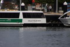 IMG_2308-1024x682
